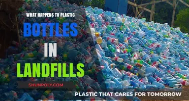 Plastic Bottles in Landfills: Environmental Impact and Long-Term Consequences