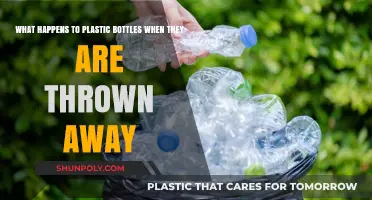 The Journey of Discarded Plastic Bottles: From Trash to Environmental Impact