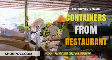 Where Do Plastic Containers Go After Restaurants?