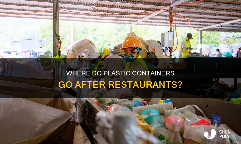what happens to plastic containers from restaurant