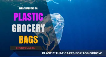The Journey of Plastic Grocery Bags: From Store to Environment