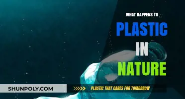 Plastic's Fate: Nature's Impact on Pollution