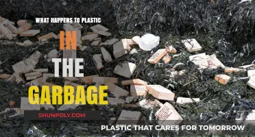 The Dark Fate of Plastic Trash