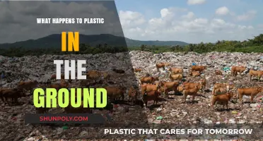 Plastic's Underground Journey: What Really Happens?