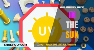 Plastic's Sunny Demise: What's Happening to Our Planet?
