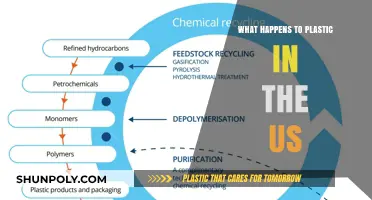 Plastic's Journey: From Trash to US Treasure
