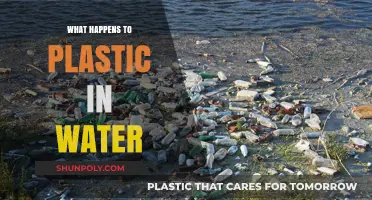 Plastic Pollution: A Watery Grave for Marine Life