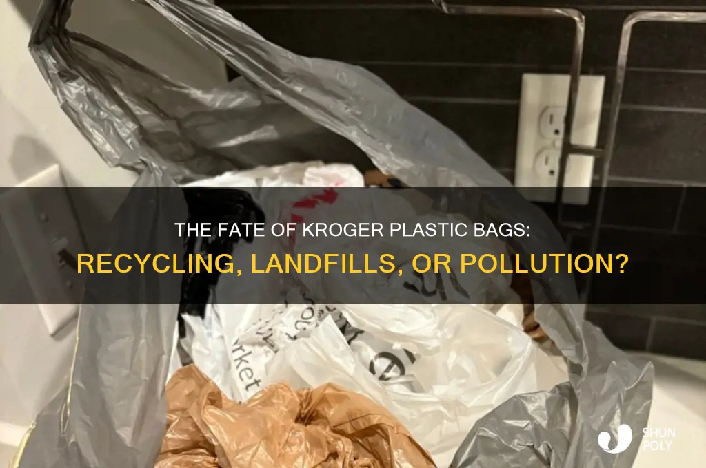 what happens to plastic kroger bags