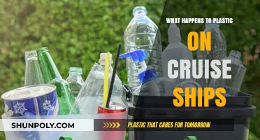 Cruise Ship Plastic Pollution: Where Does It Go?