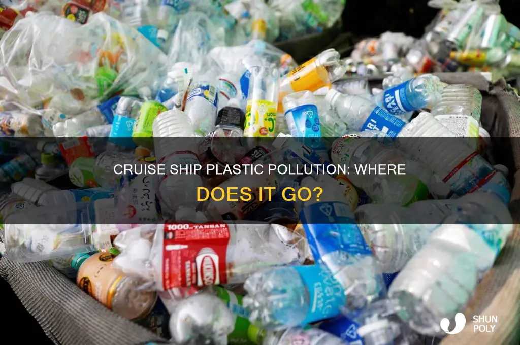 what happens to plastic on cruise ships