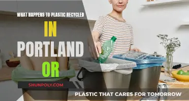 Portland's Plastic: Where Does It Go After Recycling?
