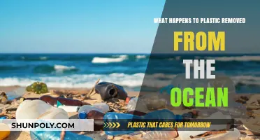 Ocean Plastic Cleanup: Recycling, Repurposing, and Environmental Impact Explained