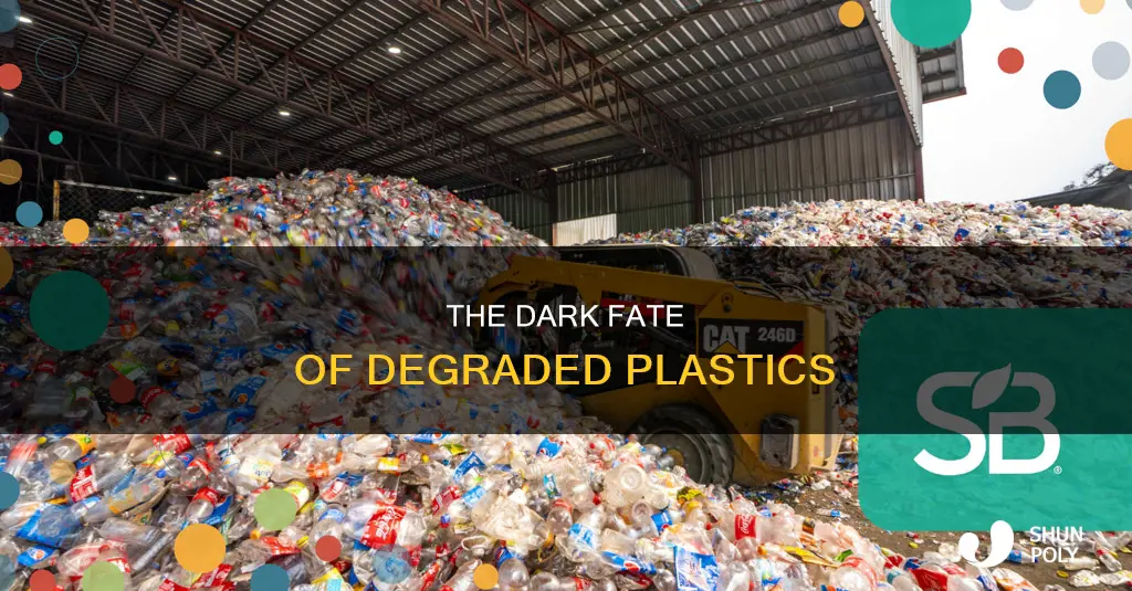 what happens to plastic that degrades