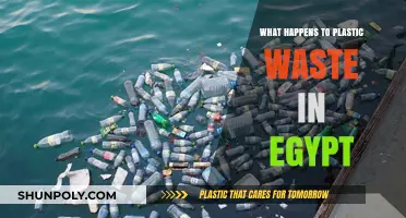 Plastic Pollution: Egypt's Dark Underbelly