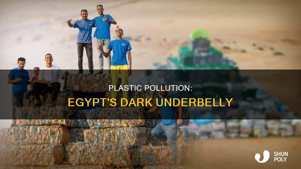 what happens to plastic waste in egypt