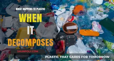 Plastic Decomposition: Understanding the Impact and Process