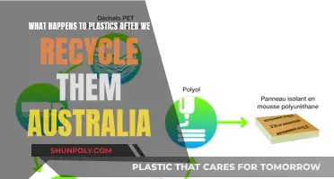 Where Do Recycled Plastics Go in Australia?