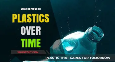 The Evolution of Plastics: What Really Happens Over Time?