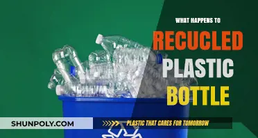 From Bin to New Life: The Journey of Recycled Plastic Bottles