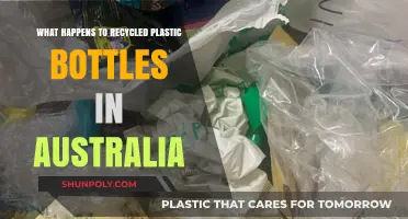 Australia's Plastic Bottle Recycling Journey: From Bin to New Life