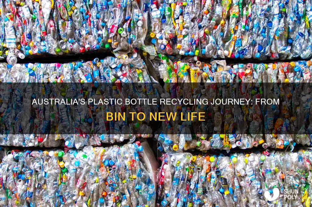 what happens to recycled plastic bottles in australia