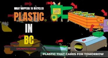 Where Does Recycled Plastic Go in BC?