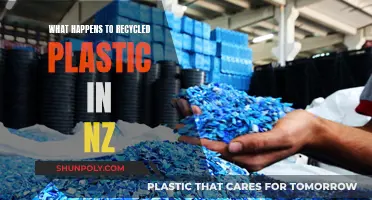 Where Does Recycled Plastic Go in New Zealand?