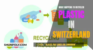 Switzerland's Recycled Plastic: Where Does It Go?