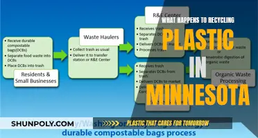 Recycling in Minnesota: Where Does Plastic Go?