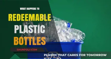 Recycling Redeemable Plastic Bottles: Journey from Bin to New Products