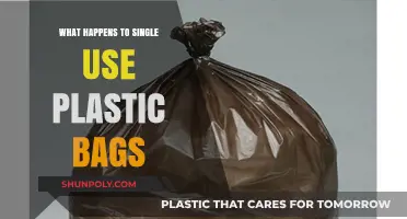 The Environmental Impact of Single-Use Plastic Bags: A Lifecycle Analysis