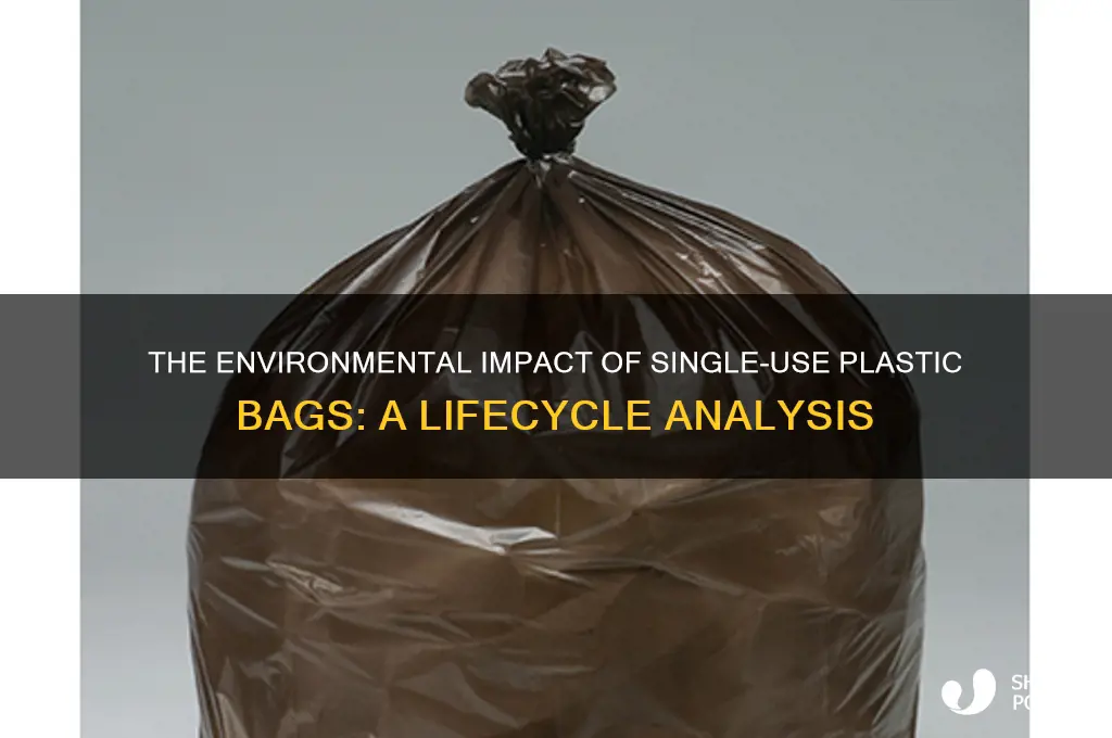 what happens to single use plastic bags