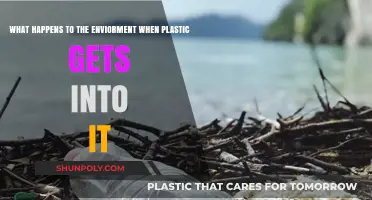 Plastic Pollution's Devastating Impact: How It Destroys Our Environment