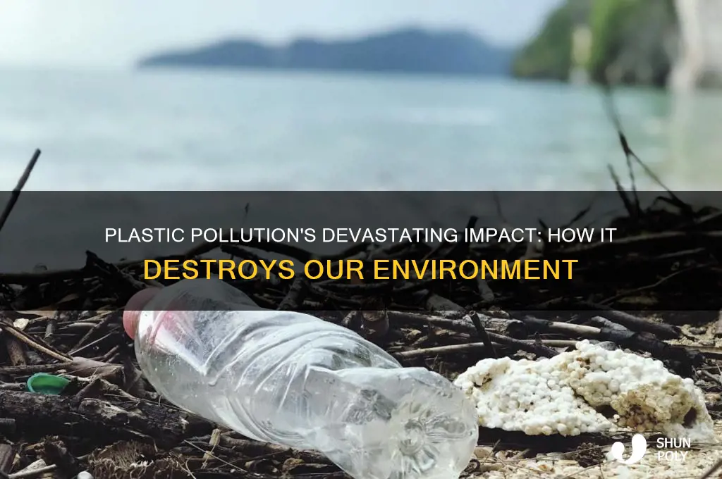 what happens to the enviorment when plastic gets into it