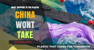 Decoding the Fate of Rejected Plastic: A Journey Beyond China's Borders
