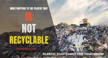 The Dark Fate of Non-Recyclable Plastics