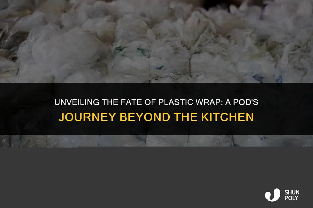 what happens to the plastic wrap of a pod