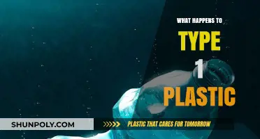 The Fate of Type 1 Plastic: Understanding Degradation