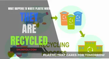 The Journey of Recycled Plastics: From Waste to New Life
