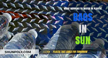 Sunlight's Impact: How Water in Plastic Bags Transforms Over Time