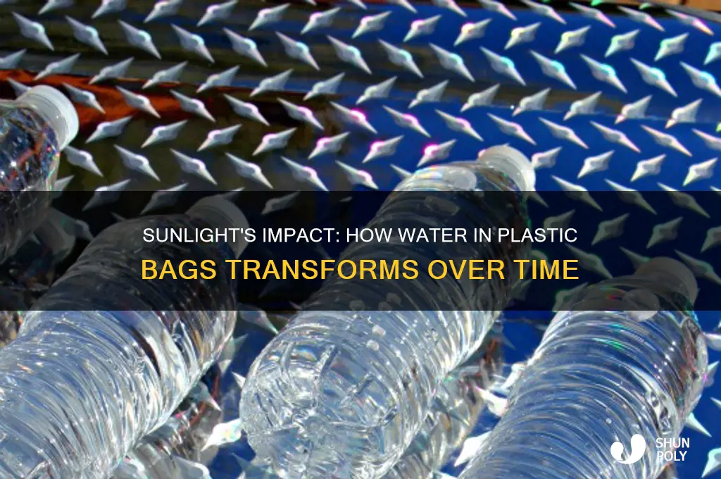 what happens to water in plastic bags in sun