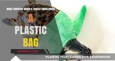 Turtle's Deadly Mistake: The Impact of Swallowing Plastic Bags