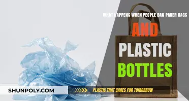 Banning Paper Bags and Plastic Bottles: Environmental Impact and Alternatives
