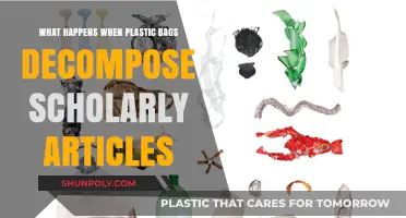 Plastic Bag Decomposition: Insights from Scholarly Research and Environmental Impact