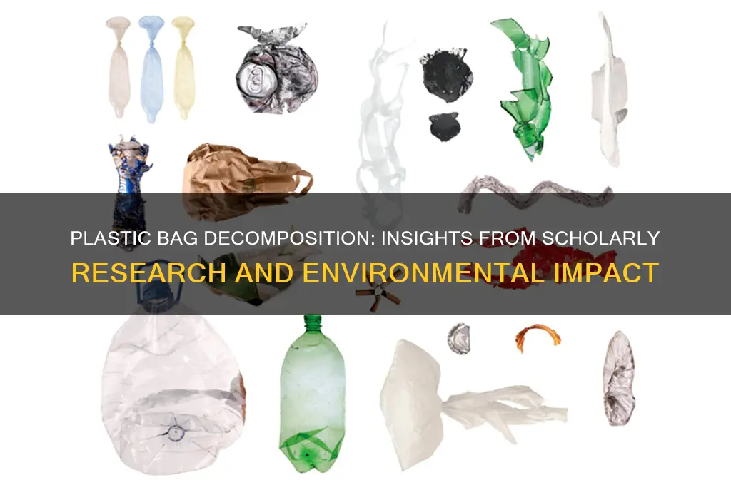 what happens when plastic bags decompose scholarly articles