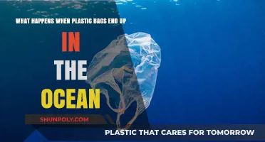 Ocean's Plastic Plague: The Devastating Impact of Bags in Seas