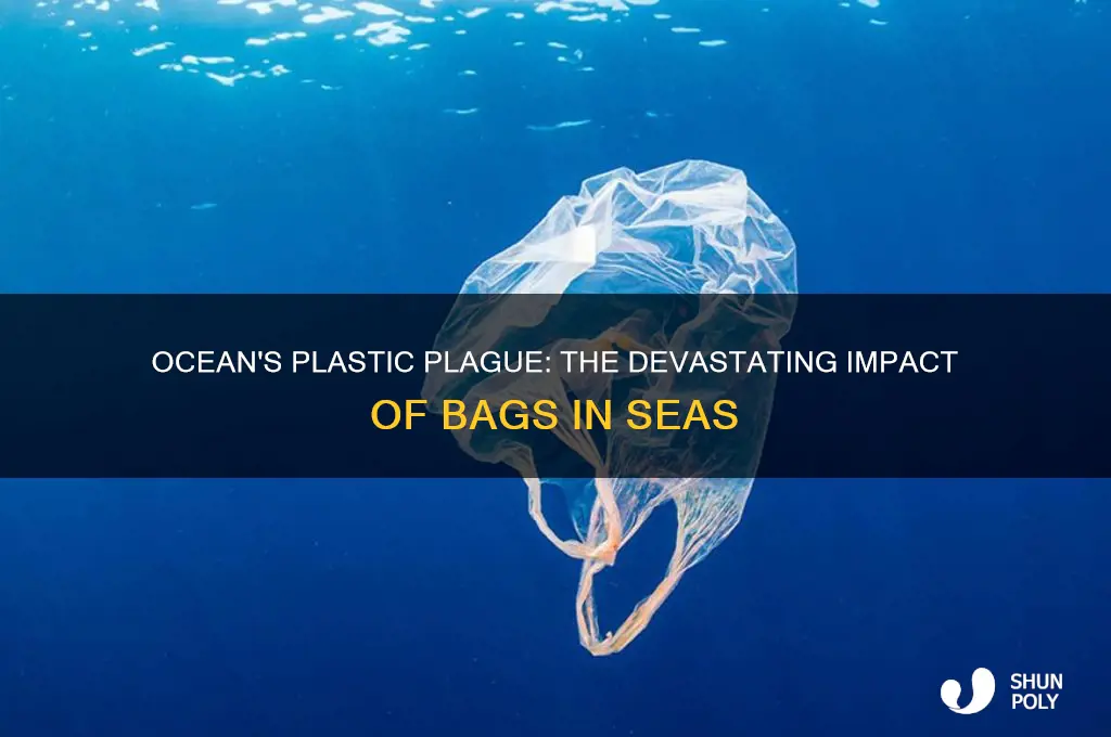 what happens when plastic bags end up in the ocean
