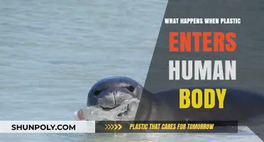 Plastic's Health Impact: When It Enters Our Bodies