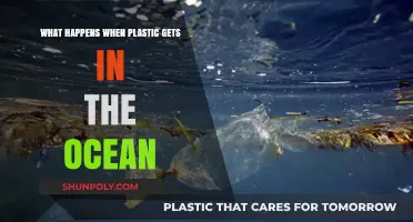 Ocean's Plastic Crisis: Devastating Impacts on Marine Life and Ecosystems