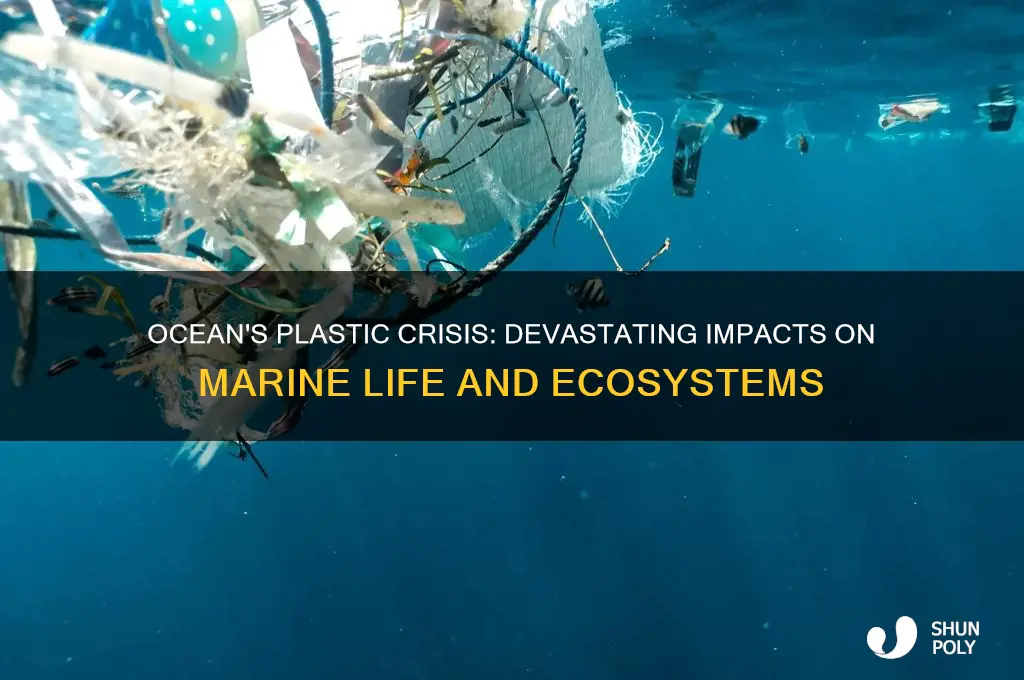 what happens when plastic gets in the ocean